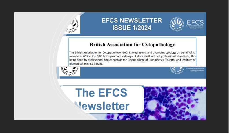 Read the BAC article in the EFCS Newsletter!