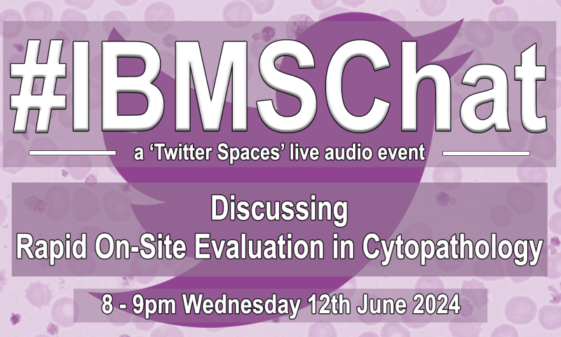 IBMSChat on Rapid On-site Evaluation in Cytopathology