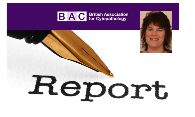 BAC Chair Report 2024